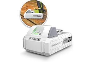 Snow Joe Certified Authentic IONMAX 24-Volt Lithium-ION Battery, Universal for All Joe Brands (Sun Joe, Auto Joe, Power Joe) Devices, Battery Management System, OEM Product (2.5, Amps)