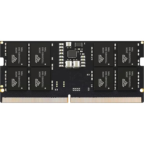 Amazon.com: Patriot Memory Signature DDR5 RAM 16GB (2X8GB) 5600MHz