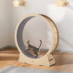 VEVOR Cat Exercise Wheel, 52" Large Cat Treadmill