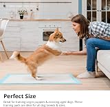 DOG n KITTY 200 Pack Puppy Pads Heavy Duty Absorbent 60x45 cm view 2