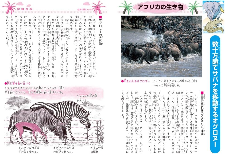 ショウワノート ジャポニカ学習帳 作文帳 0字 Jl 42 文房具 オフィス用品 文房具 オフィス用品 Amazon