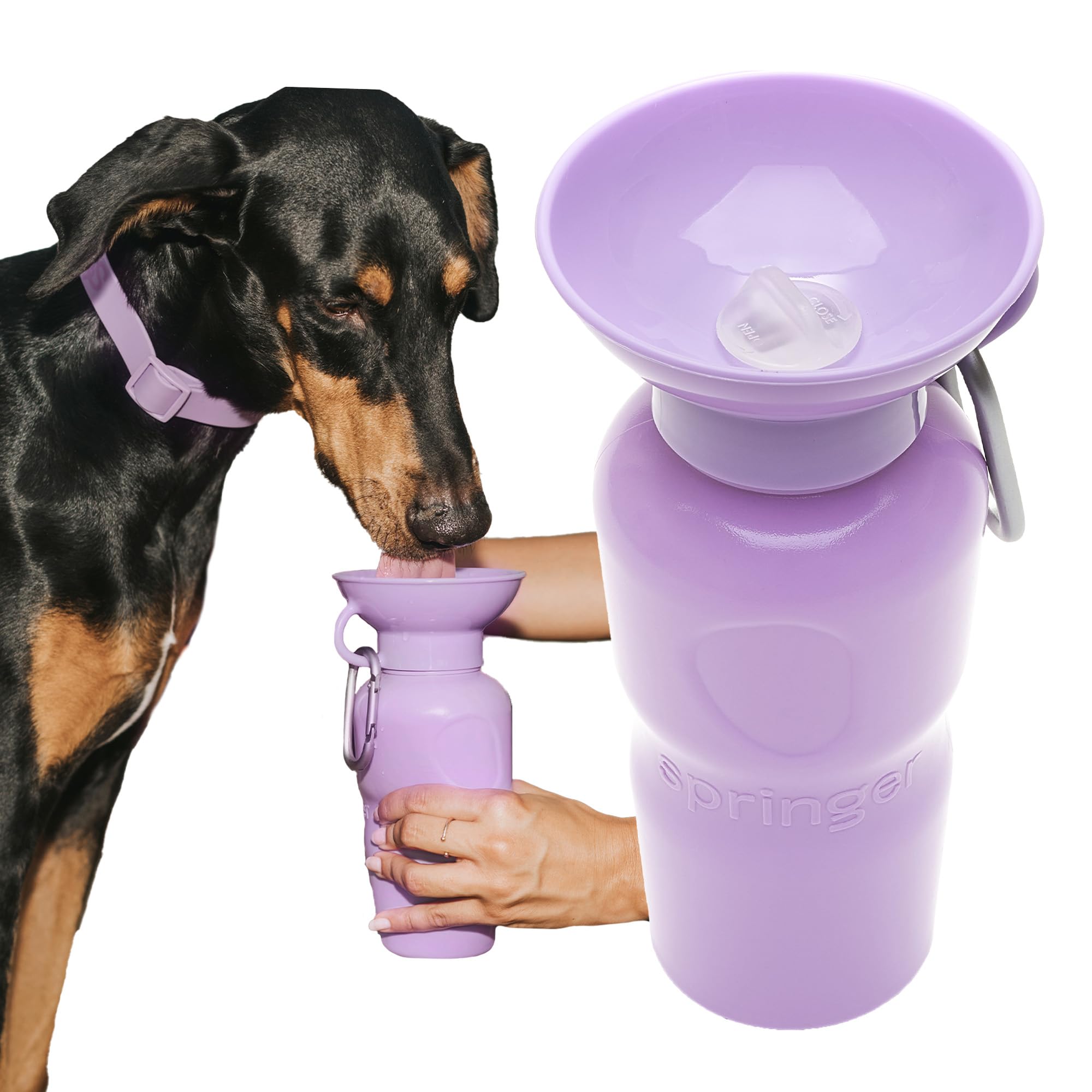 Springer Dog Water Bottle | 625ml Leak-Proof & Portable Drinking for Walking and Travel | Patented Bowl Design, Ideal Dog Gift, BPA-Free | As Seen on Shark Tank | Lilac