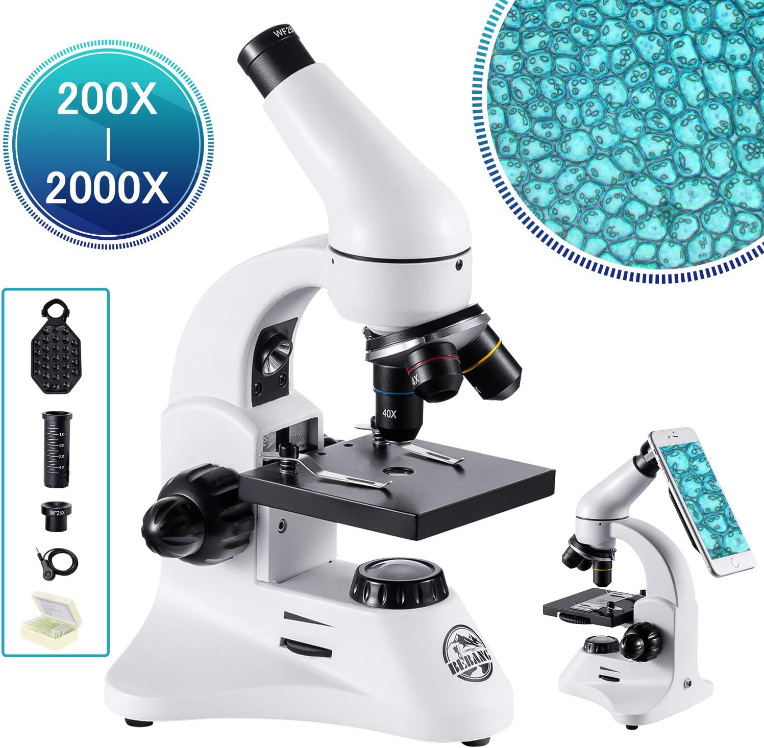 BEBANG 200X2000X Biologique Microscope pour Enfant, Étudiante et