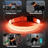 KOSKILL Light Up Dog Collar USB Rechargeable Waterproof Orange L view 7
