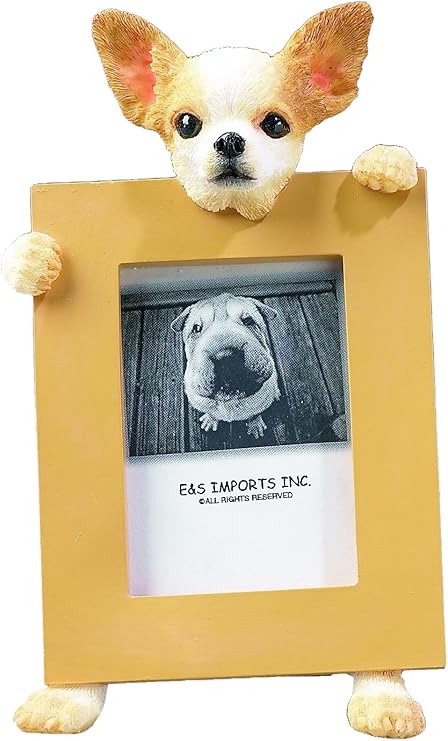 straight hair cockapoo