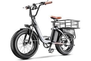 EUY 1500W Peak Electric Bike for Adults, 48V 20Ah Removable Battery Max Range 70Miles & 30MPH Electric Bicycle, 20''×4.0" Fat Tire Ebike,Fast Cargo Ebikes,Commute Mountain E-Bike UL Certified