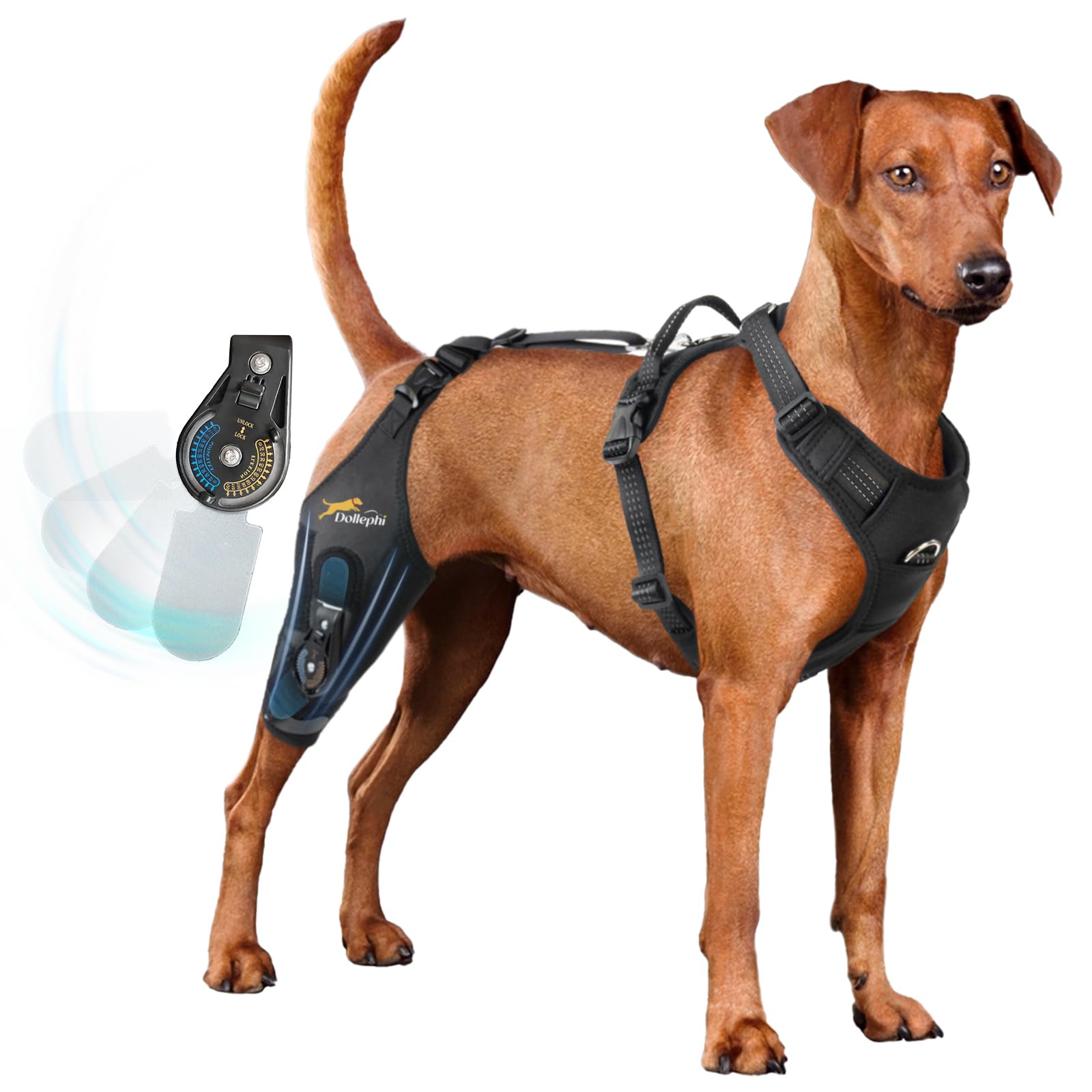 Photo 1 of Dog Knee Brace for torn acl hind leg with Adjustable Hinge Stabilizer, Dog back brace for Osteoarthritis, Dog leg brace Support for Cruciate Ligament Injury,Recovery After,Patent Pending(Right Leg,XL)