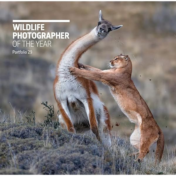 Wildlife Photographer of the Year: Portfolio 28 | Amazon.com.br