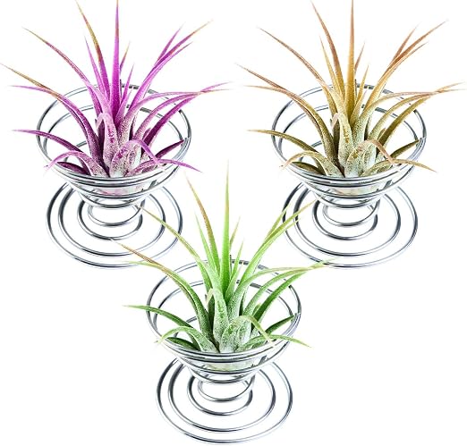 PQZATX 12 Piezas Soporte De Planta De ire Contenedor De Mesa De ...