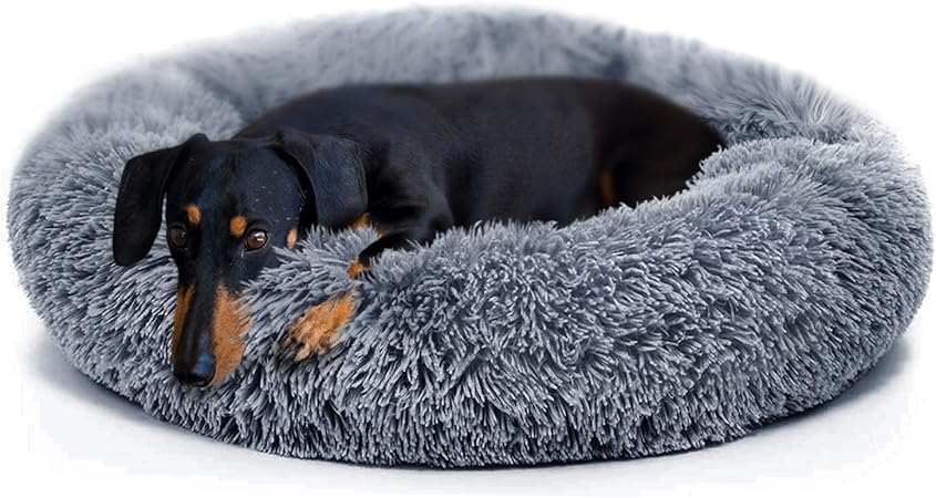 calming bed for dogs amazon