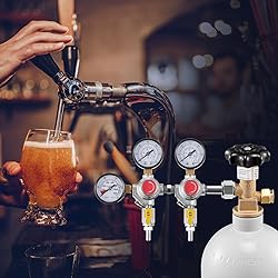 VEVOR CO2 Regulator Gauge with 0-60PSI, Heavy Duty