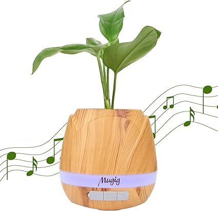 music plant pot