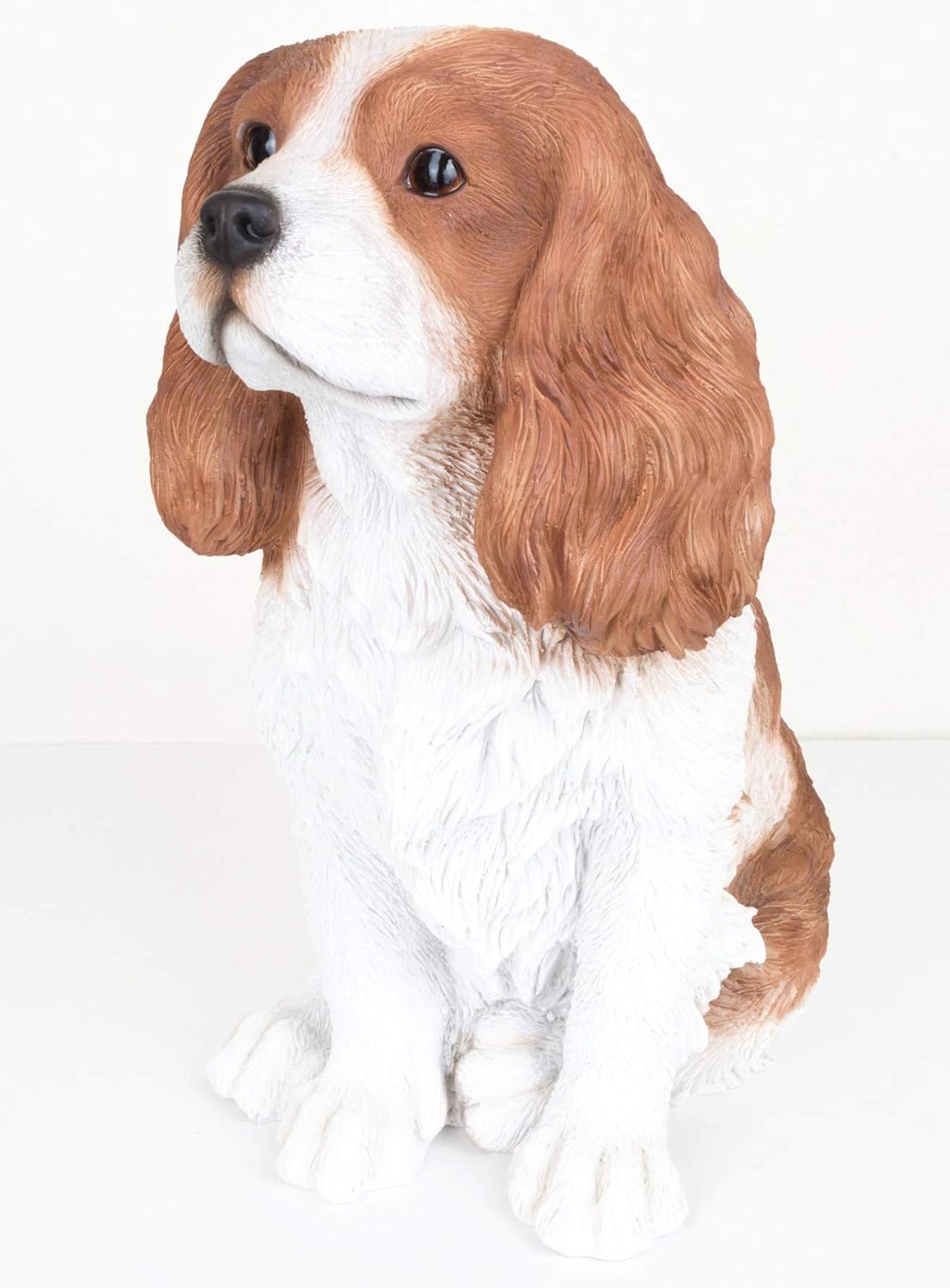 VI N VI 16'' Cavalier King