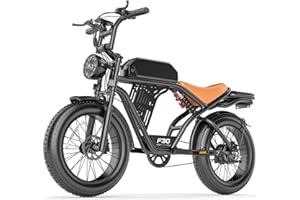 ASKGO Electric Bike for Adults, 2500W Peak Motor, 50KM/H & 160KM, 48V 20Ah Large Battery, NFC & Password Unlock, Electric Dir