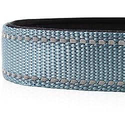 Joytale Reflective Dog Collar,Soft Neoprene Padded