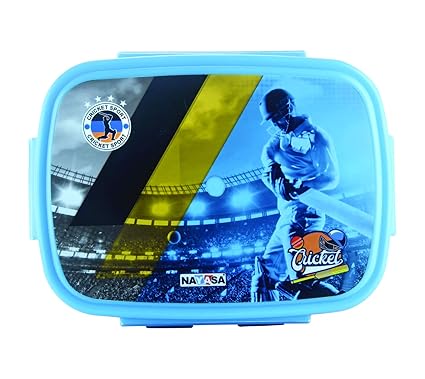 nayasa insulated lunch box