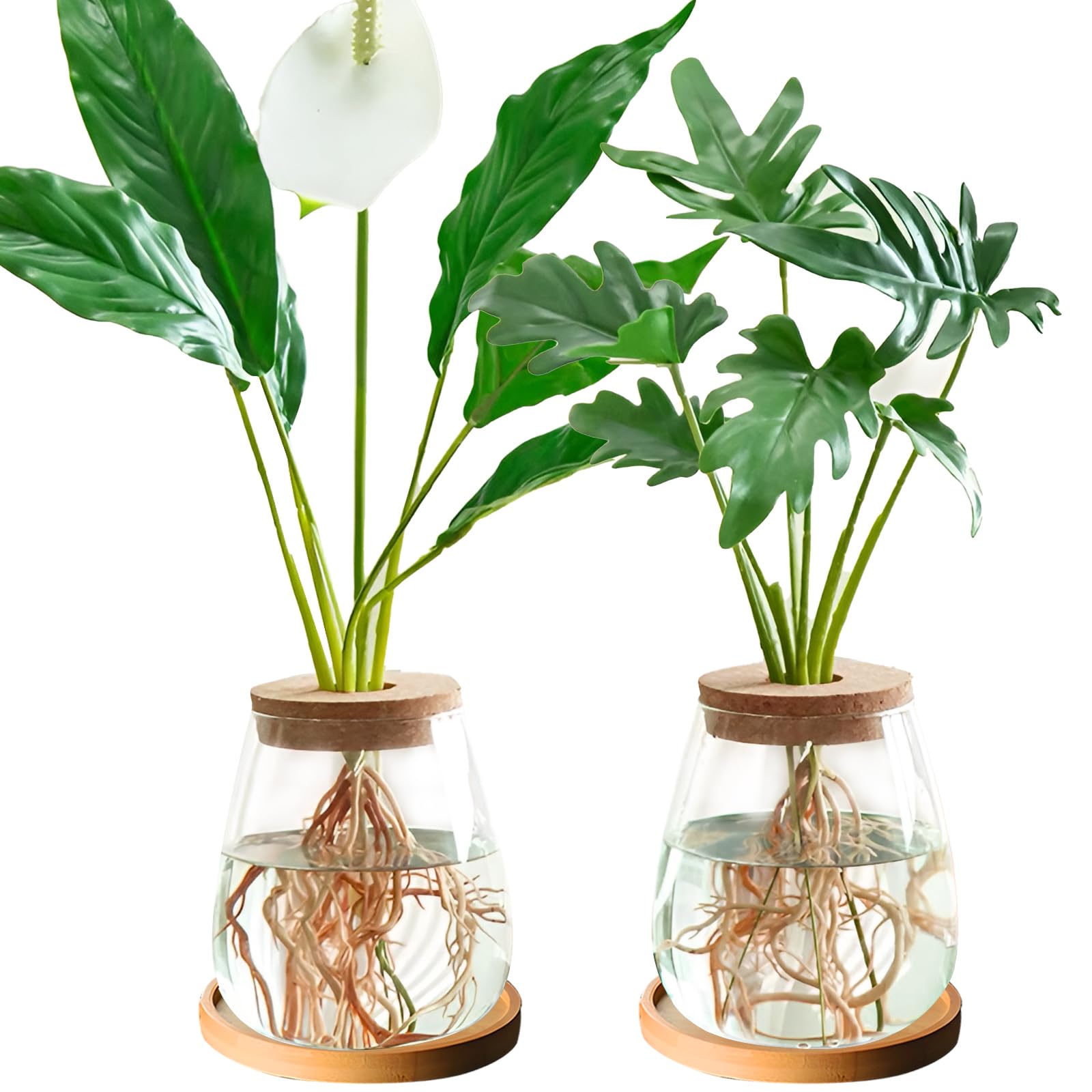 CDIYTOOL 2pcs Plants Propagation Station, Hydroponics Glass Vase Clear Glass Terrarium Plants Propagation Planter with Wooden Lid for Hydroponic Home Office Decor