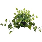 LOYWREE Fake Plants Artificial Scindapsus Aureus in Pots, Realistic Fake Greenery Potted Plants for Home Office Desk Window Sill Bathroom Bedroom Outdoor Indoor - Black Pot