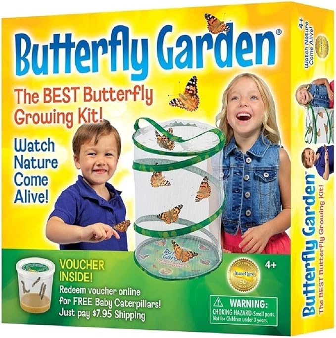 Amazon Com Insect Lore Bh Butterfly Growing Kit With Voucher To Redeem Caterpillars Later Toys Games