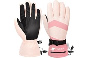 WOLFILIST Ski Gloves Waterproof Windproof - 3M Thinsulate Insulated Warm Snow Gloves, Snowboard Gloves with Zipper Pocket, Touchscreen Winter Gloves for Men Women