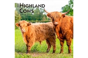 Highland Cows | 2026 7 x 14 Inch (Hanging) Monthly Mini Wall Calendar | BrownTrout | Domestic Farm Animals