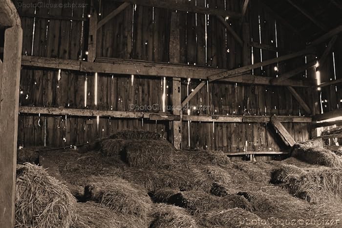 Amazon Com Rustic Barn Old Dairy Farm Barn With Vintage Bales