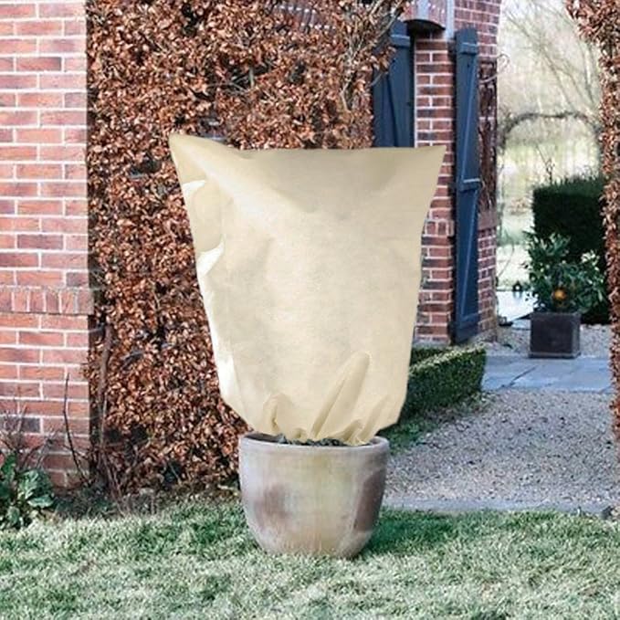 ETSAMOR 3pcs 31.5 Inches x 39 Inches Winter Plant