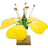 Eisco Labs Model Typical Flower