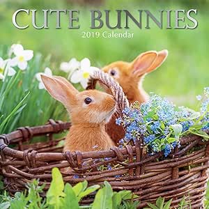 Amazon.com : 2019 Wall Calendar - Bunny Calendar, 12 x 12 Inch Monthly Amazon.com : 2019 Wall Calendar - Bunny Calendar, 12 x 12 Inch Monthly