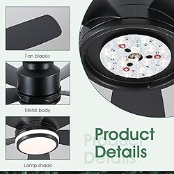 Modern Ceiling Fans with Lights and Remote/APP