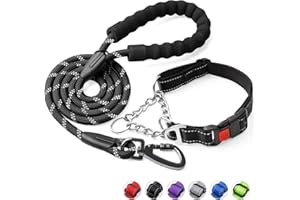 Duckygoo Dog Collar and Leash Set,Martingale Dog Collar with Quick Release Buckle,Reflective Dog Leash & Adjustable No Pull Dog Collar with Soft Breathable Neoprene Padded for Small Medium Large Dogs