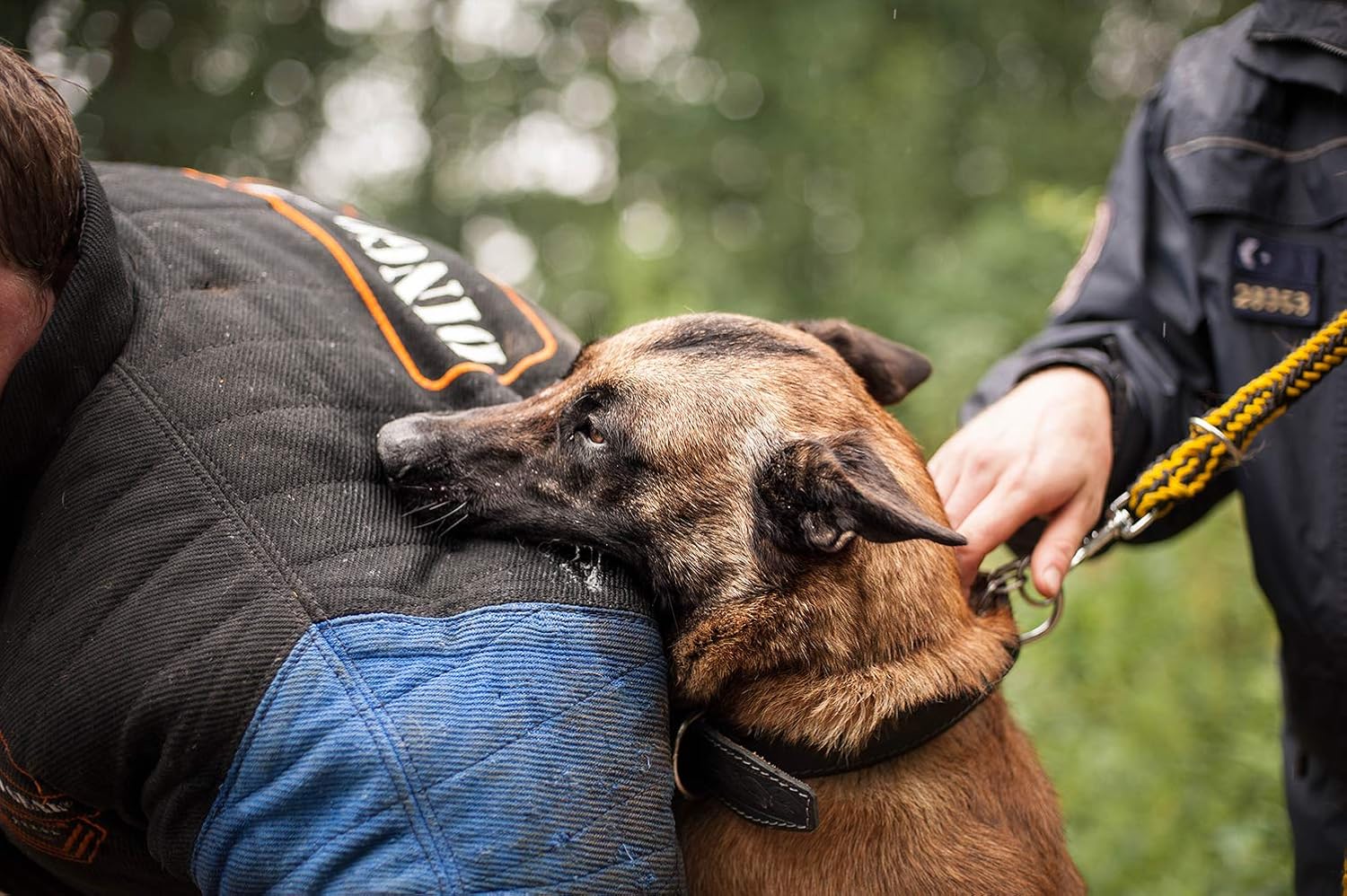 dog training trousers