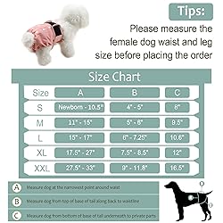 Grecle Washable Female Dog Diapers - Premium