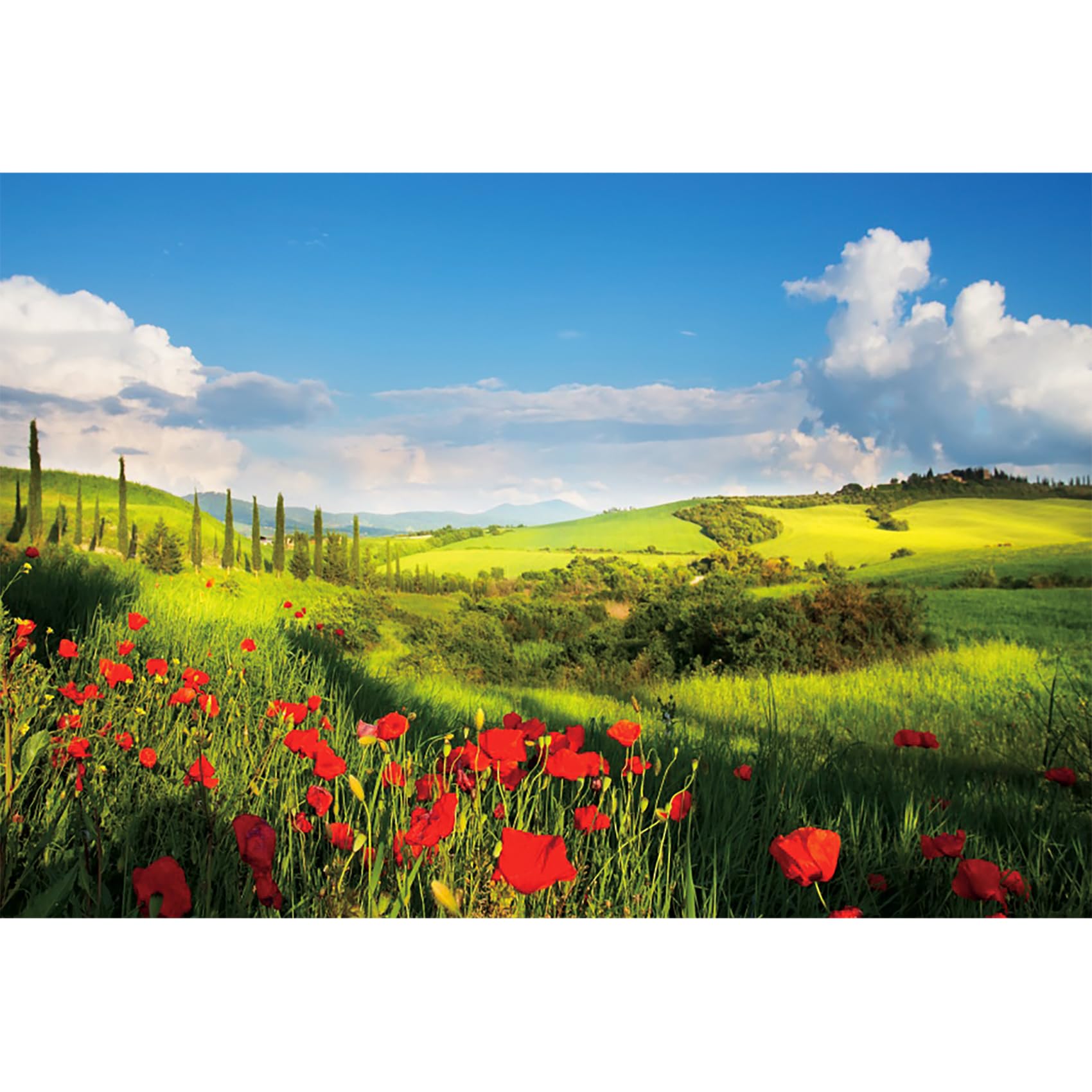 MIRRORANG 2,2x1,5m Spring Backdrop Forest Countryside Grassland Backdrop Flower Blossoming Rural Farmland Natural Scenery Glass Farm Meadow Photography Background Photo Studio Props, Vinyl