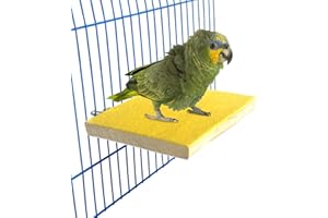MRLI PET Colorful Bird Perch Stand Platform Natural Wood Playground Paw Grinding Clean for Pet Parrot Budgies Parakeet Cockatiels Conure Lovebirds Rat Mouse Cage Accessories Exercise Toys