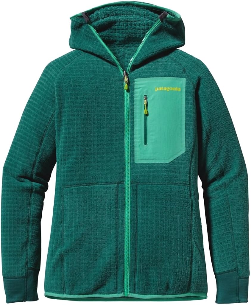 patagonia r3 hoody