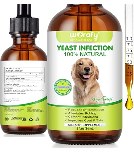 How to Treat a Dog Ear Infection at Home: Easy & Effective Tips
