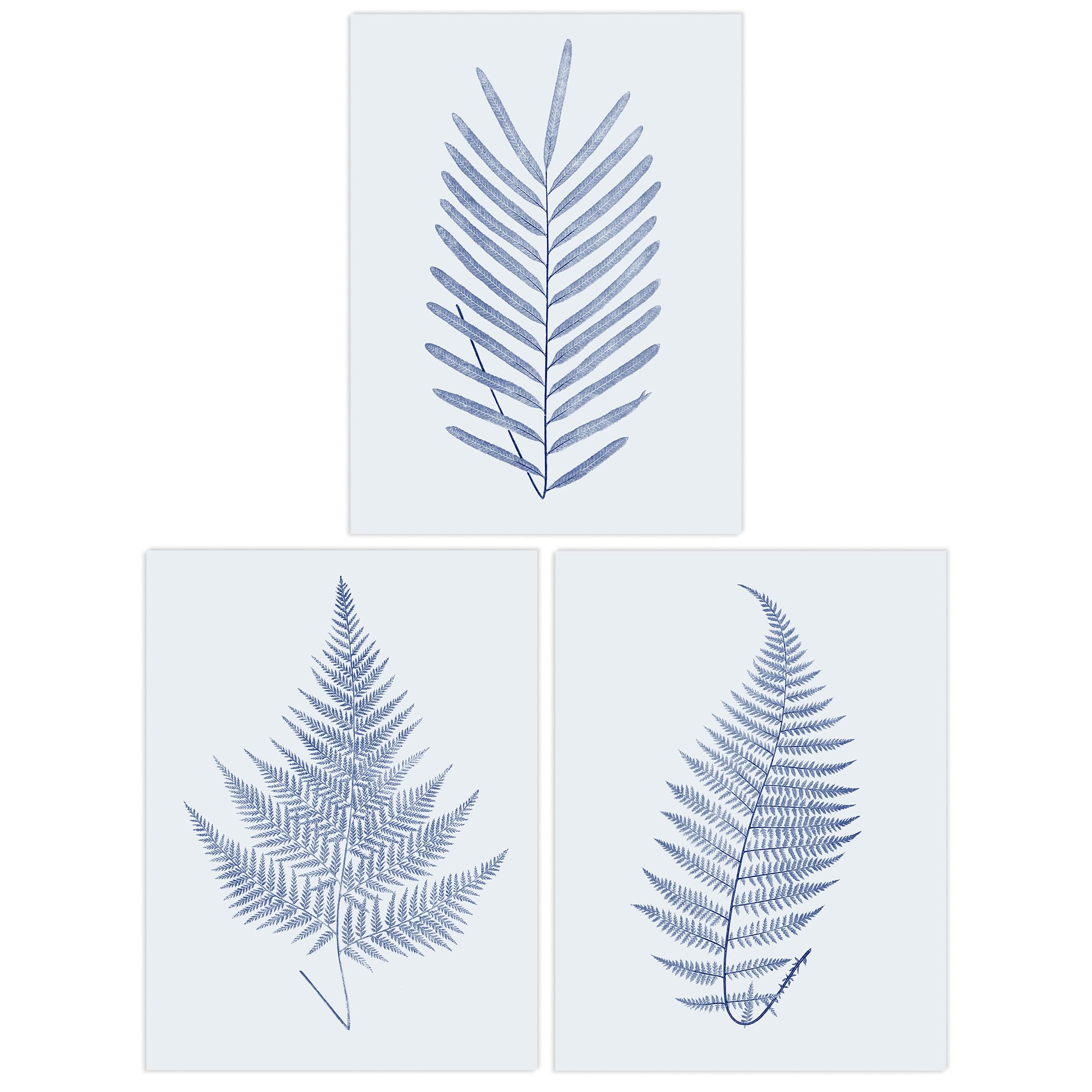 Wee Blue Coo Pack of 3 Elegant Calming Fern Leaf Frond Blue on Grey Detailed Foliage Imprint Botanical Unframed Wall Art Living Room Prints Set