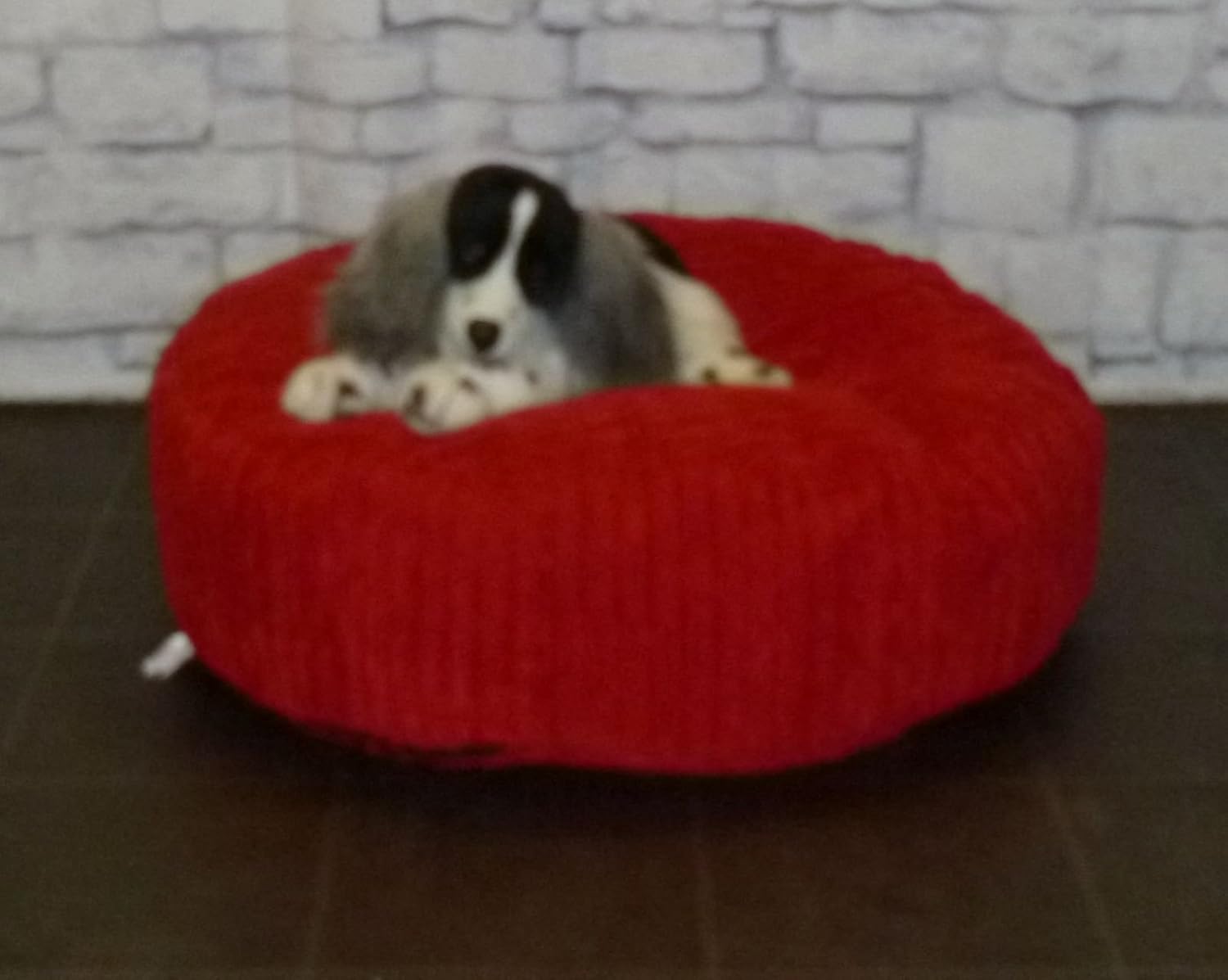 Zippy Round Bean Bag Pet Dog Bed 30" diameter Red Jumbo Cord Fabric Beanbags Amazon.co.uk