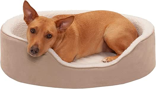 ancient egyptian guard dogs