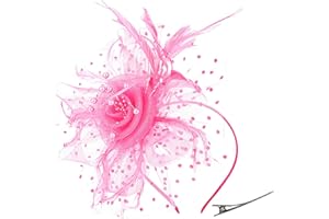 Durzasvo Women's Fascinators Tea Party Wedding Derby Mesh Flower Pearl Feather Fascinator Hat with Headband and Clip