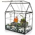 Large Glass Plant Terrarium With Lid - Tabletop Greenhouse For Succulents & Orchids