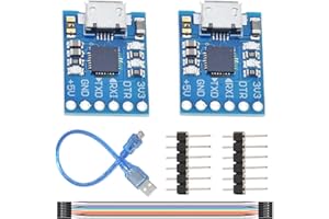 DKARDU 2 Pcs CP2102 Micro USB to TTL/Serial Module Serial Converter 6PIN Converter STC Downloader with Male and Female Dupont