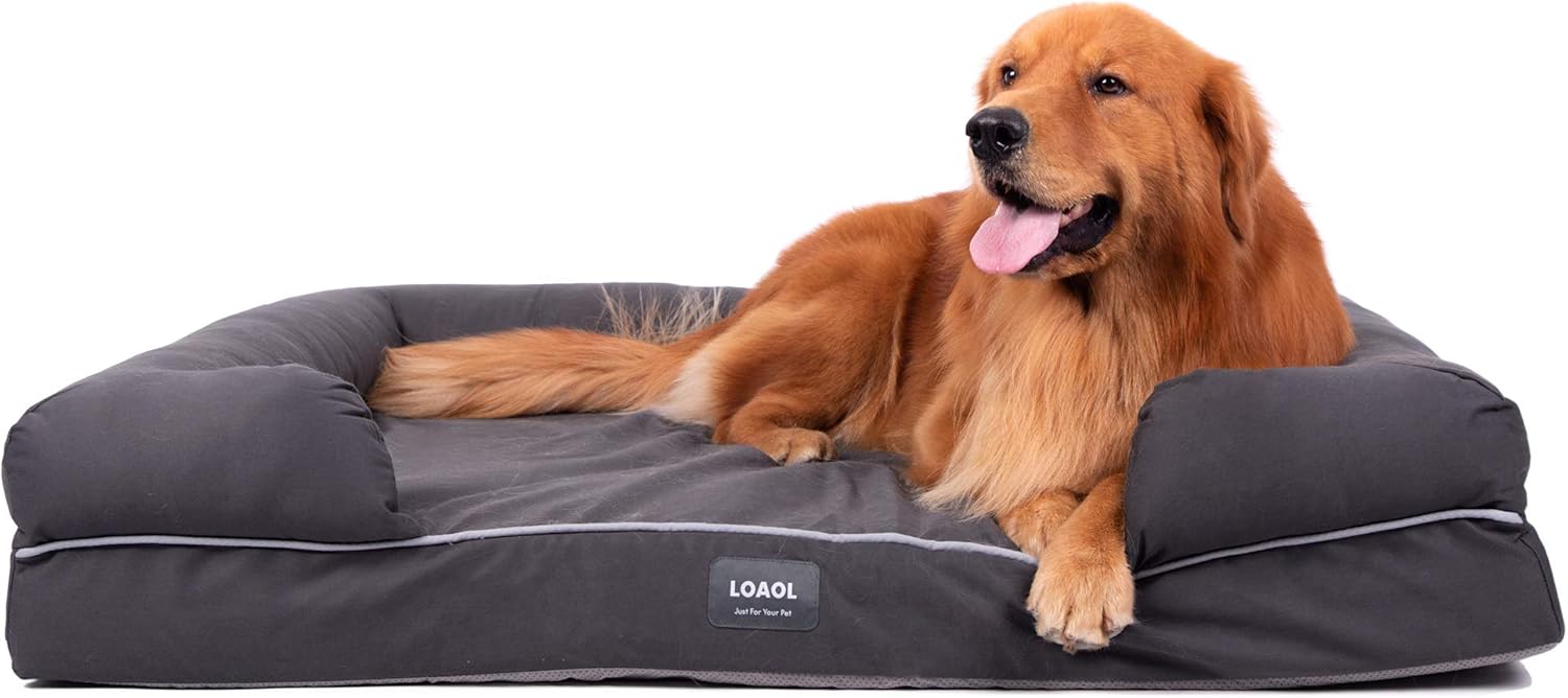 LOAOL Memory Foam Dog Bed Durable Waterproof Pet Sofa Couch with Bolster Orthopedic Cat Lounger Removable Cover (L, Woven Gray) : Pet Supplies