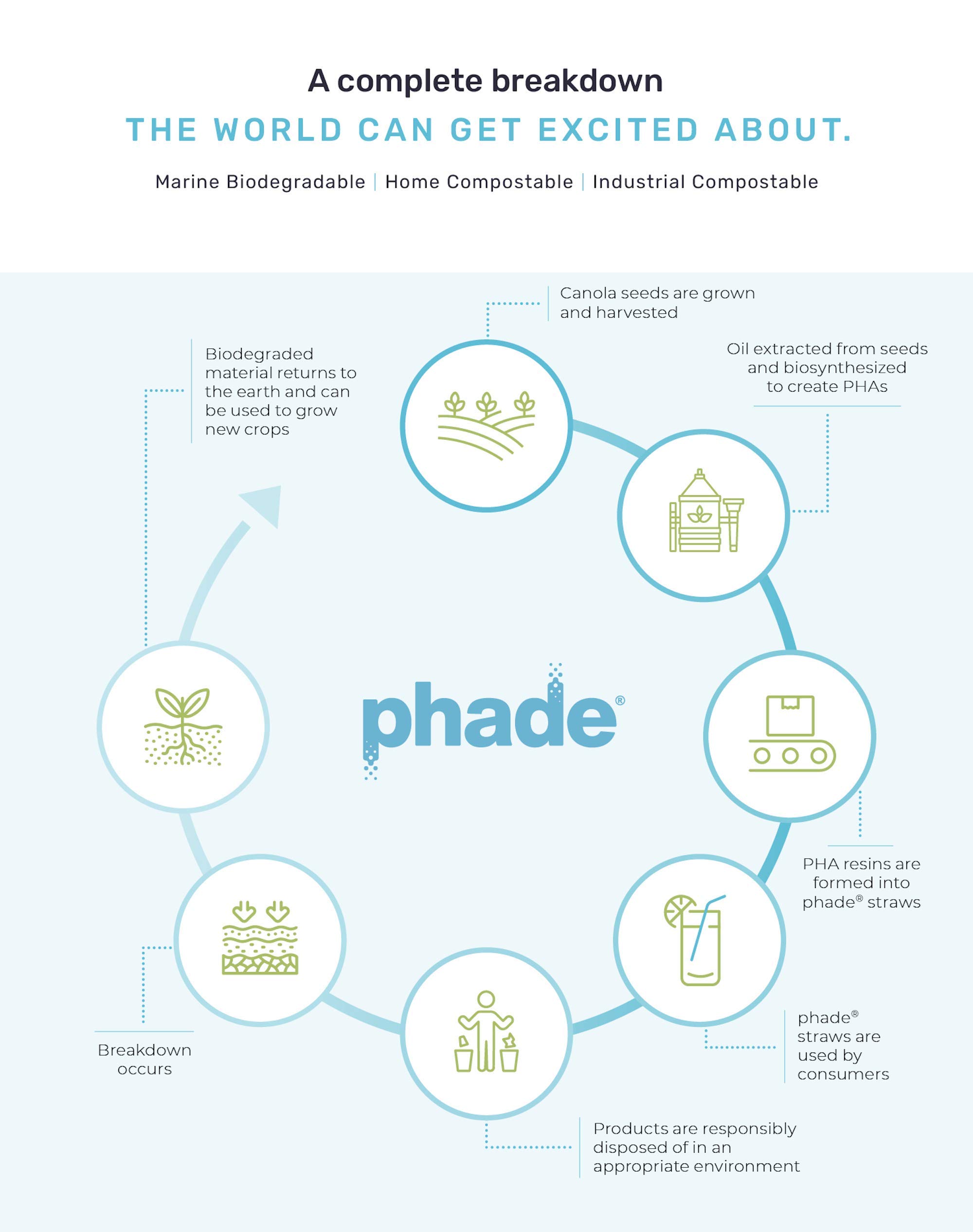 phade Eco-Friendly 7.75" 375 Count Jumbo Drinking Straws - Sustainable Marine Biodegradable Compostable Individually Wrapped, 1 Pack - Image 5