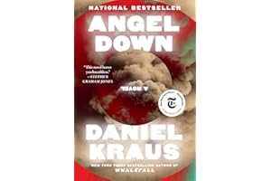 Angel Down: A Novel