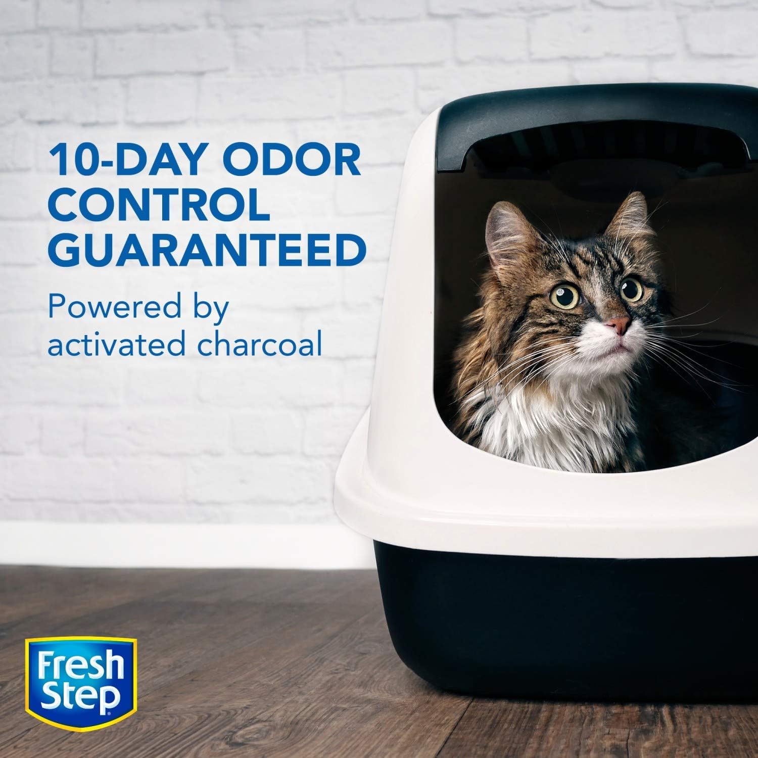 Fresh Step Advanced Clumping Cat Litter with Activated Charcoal & Natural Odor Control - Unscented, 37 Lb (2x18.5lb Pack), Gray (32403) : Pet Supplies