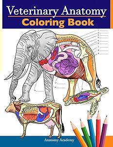 kindle best category lists