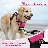 rabbitgoo Small Dog Harness No Pull Reflective Rose Red Easy Control Handle view 6