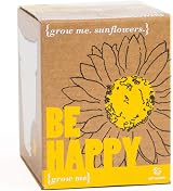 Gift Republic Grow Me Be Happy Sunflower Grow Kit 7.0cm x 9.0cm x 8.5cm view 1